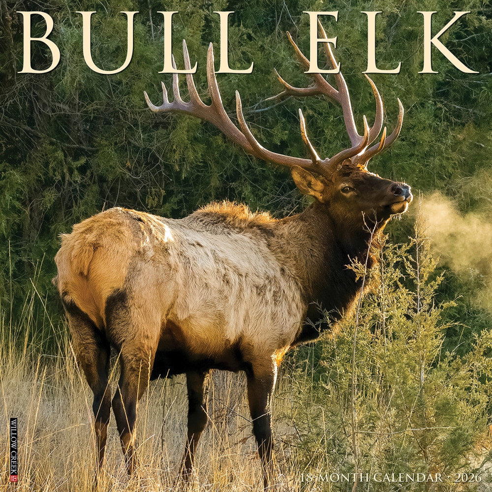 2026 Willow Creek Press Animals Monthly Wall Calendar, 12in x 12in, Bull Elk, January To December, 50408 MPN:50408