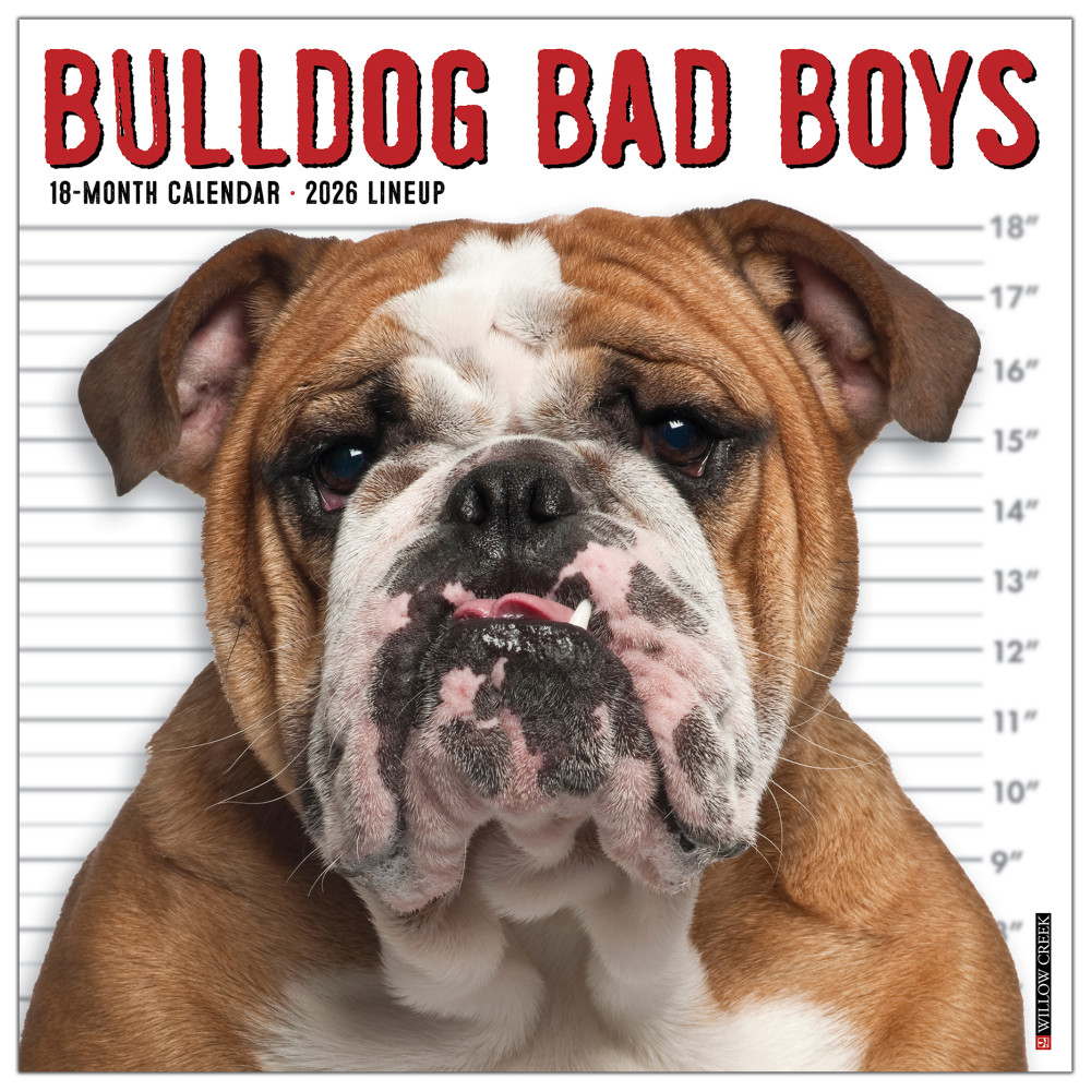 2026 Willow Creek Press Art & Design Monthly Wall Calendar, 12in x 12in, Bulldog Bad Boys, January To December, 50415 MPN:50415