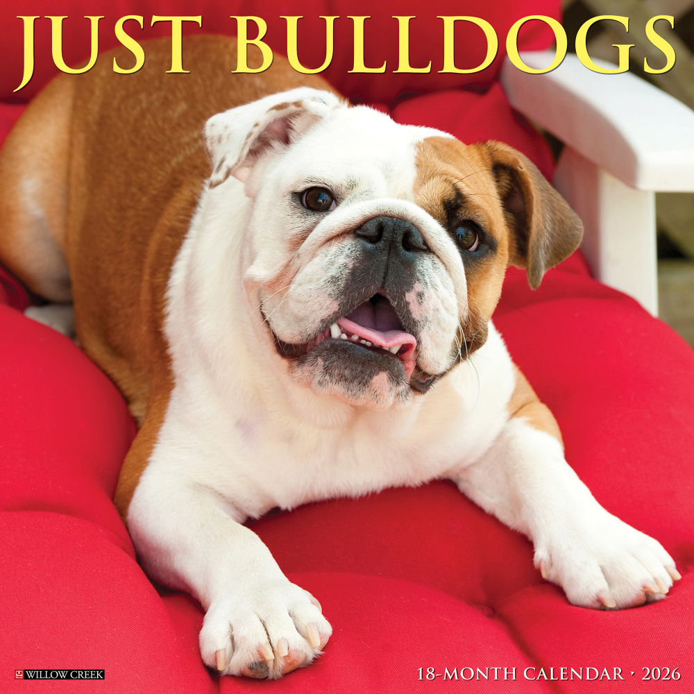 2026 Willow Creek Press Animals Monthly Wall Calendar, 12in x 12in, Bulldogs, January To December, 50439 MPN:50439