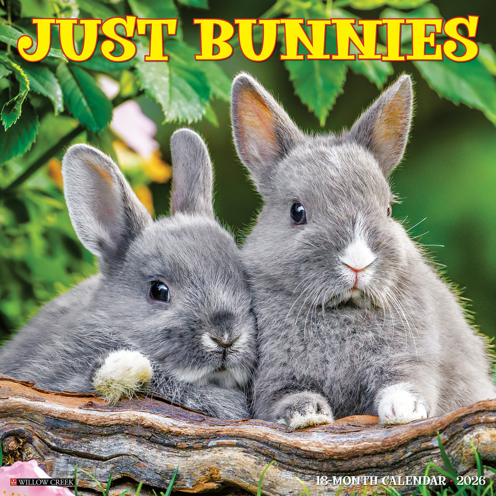 2026 Willow Creek Press Animals Monthly Wall Calendar, 12in x 12in, Bunnies, January To December, 50446 MPN:50446