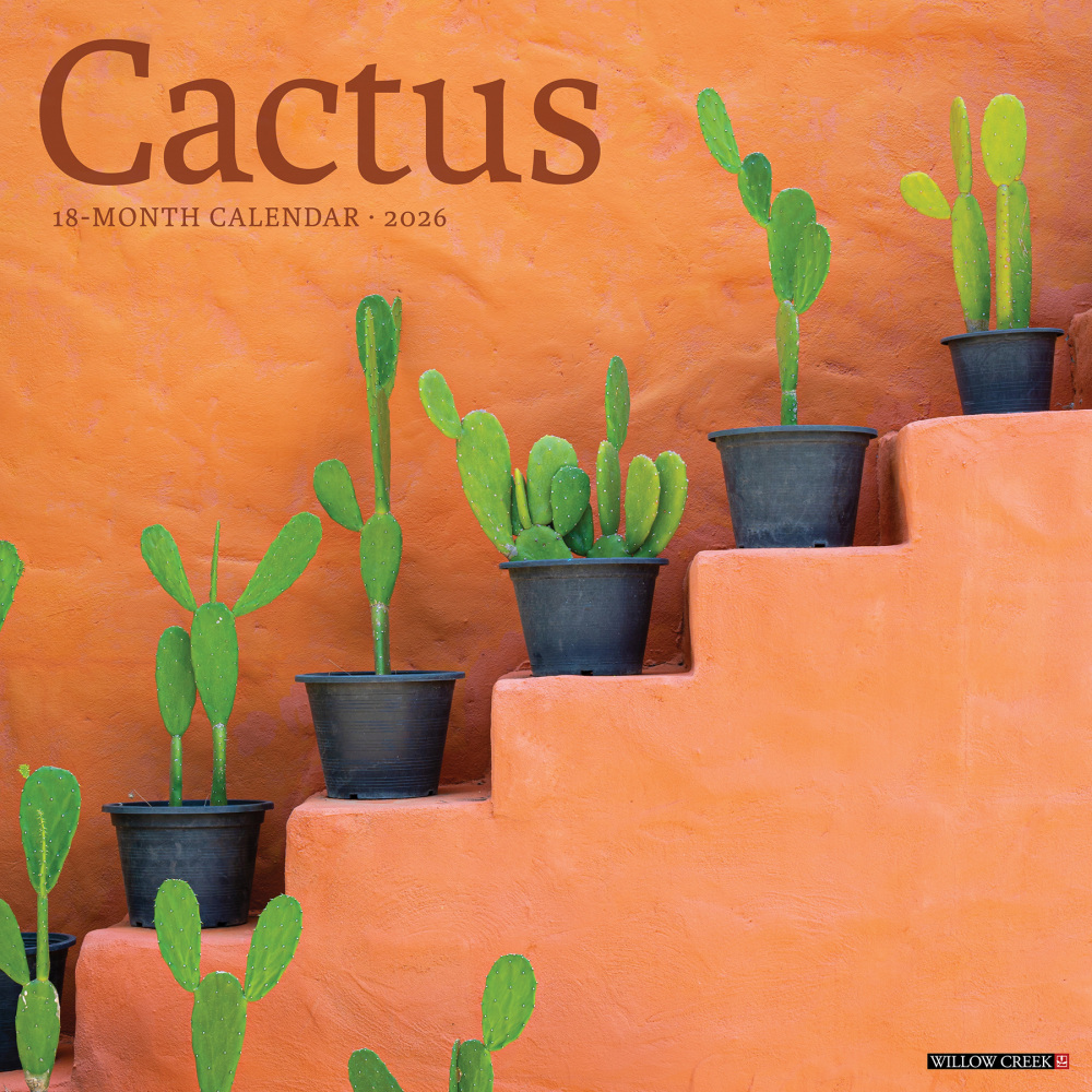 2026 Willow Creek Press Art & Design Monthly Wall Calendar, 12in x 12in, Cactus, January To December, 50477 MPN:50477