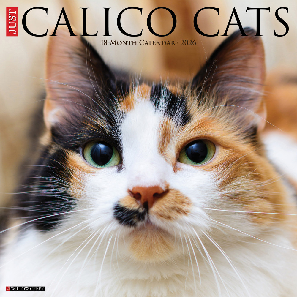 2026 Willow Creek Press Animals Monthly Wall Calendar, 12in x 12in, Calico Cats, January To December, 50484 MPN:50484