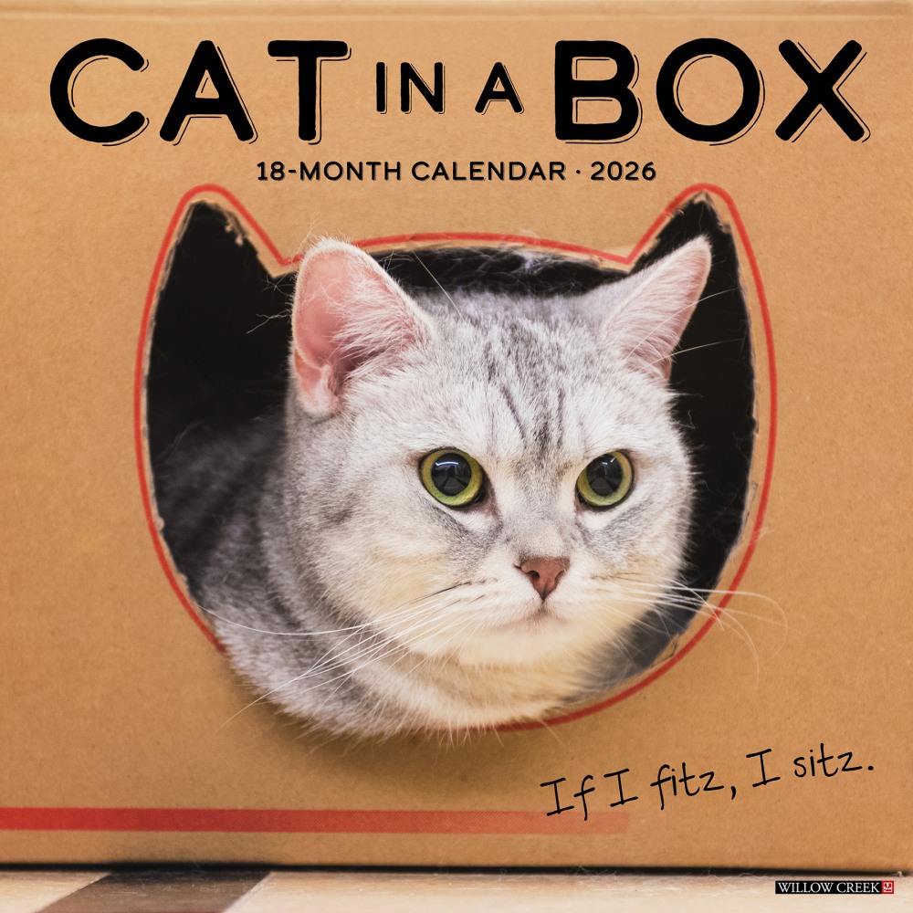 2026 Willow Creek Press Art & Design Monthly Wall Calendar, 12in x 12in, Cat in a Box, January To December, 50576 MPN:50576