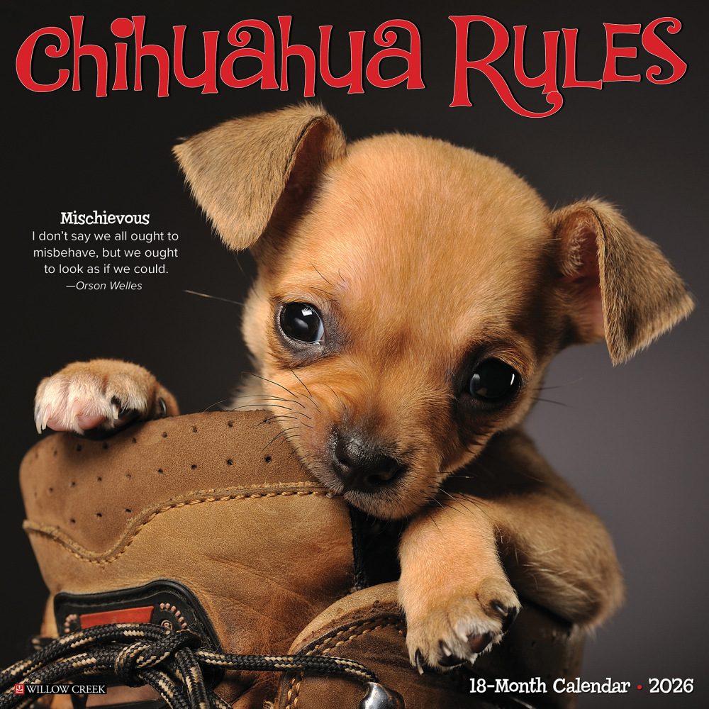 2026 Willow Creek Press Animals Monthly Wall Calendar, 12in x 12in, Chihuahua Rules, January To December, 50682 MPN:50682