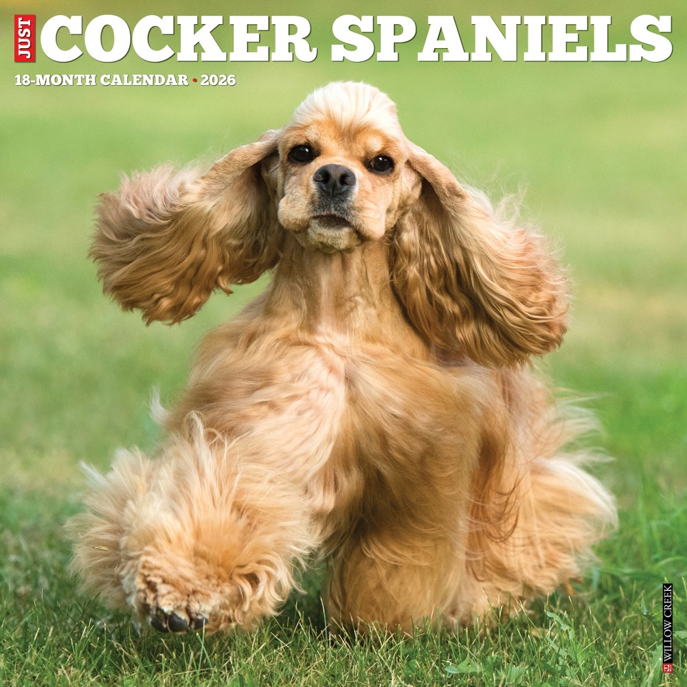 2026 Willow Creek Press Animals Monthly Wall Calendar, 12in x 12in, Cocker Spaniels, January To December, 50781 MPN:50781