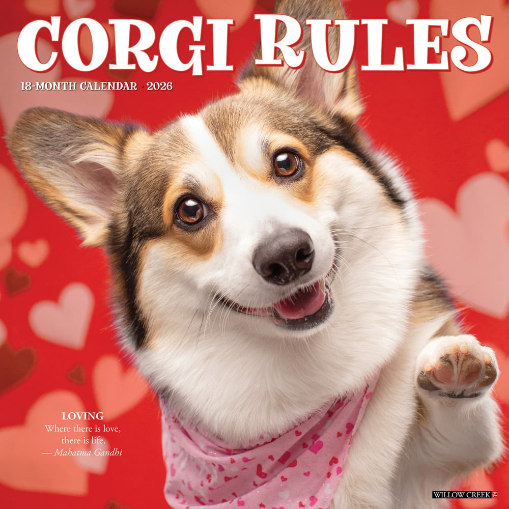 2026 Willow Creek Press Animals Monthly Wall Calendar, 12in x 12in, Corgi Rules, January To December, 50828 MPN:50828