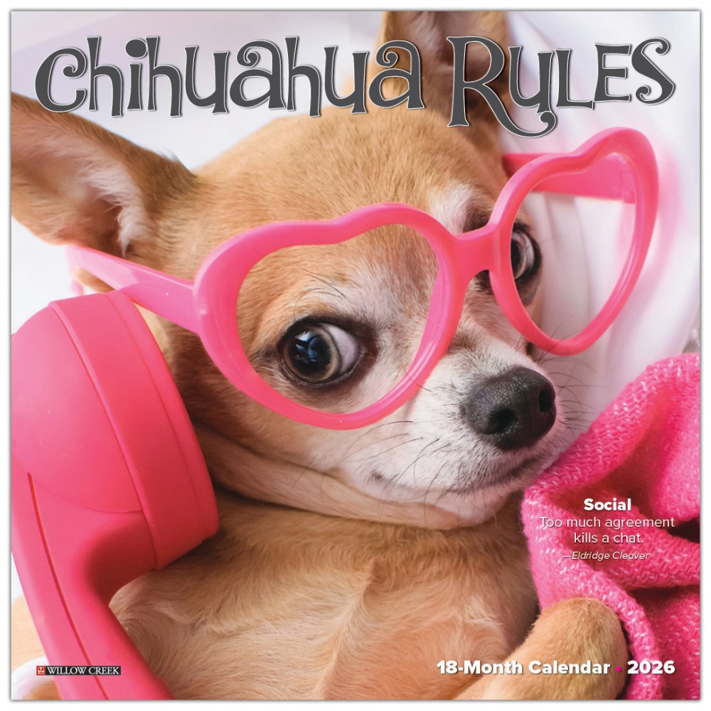2026 Willow Creek Press Monthly Mini Wall Calendar, 7in x 7in, Chihuahua Rules, January To December, 53508 MPN:53508