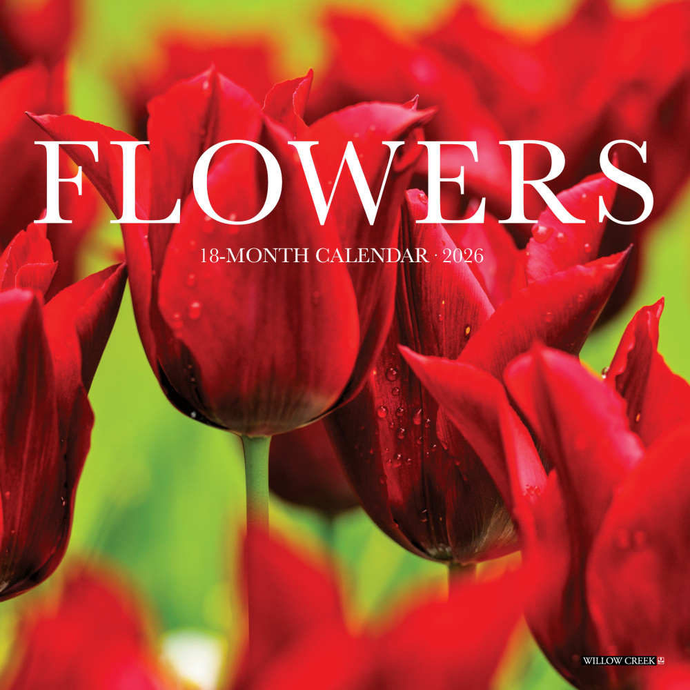 2026 Willow Creek Press Monthly Mini Wall Calendar, 7in x 7in, Flowers, January To December, 53584 MPN:53584