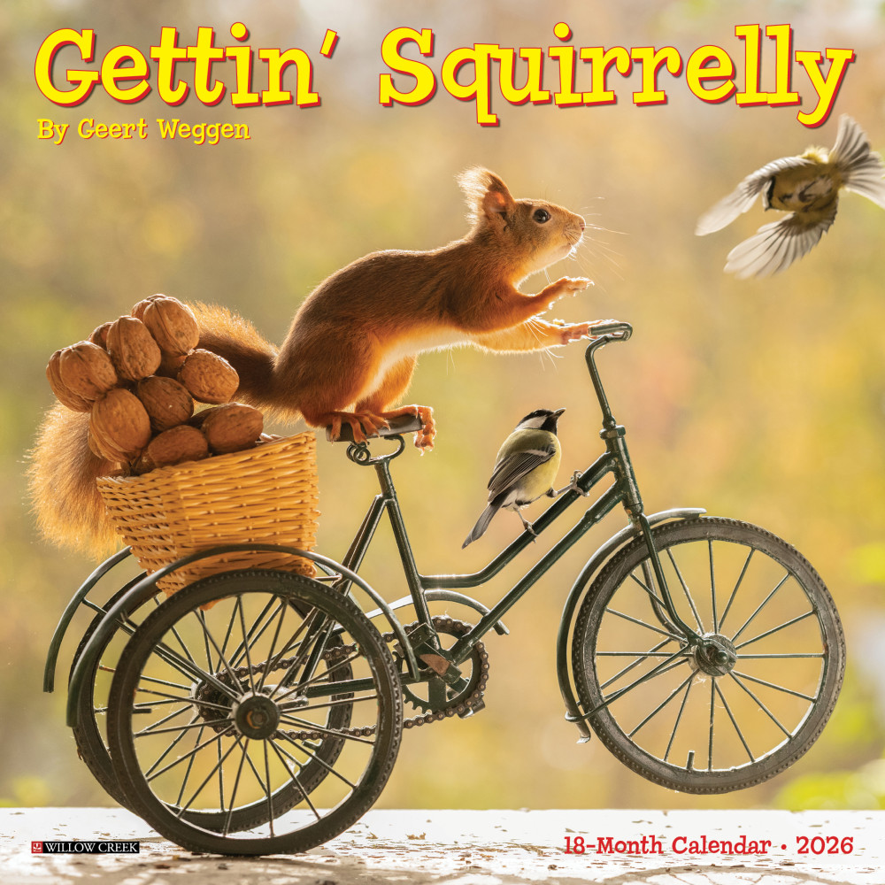 2026 Willow Creek Press Monthly Mini Wall Calendar, 7in x 7in, Gettin Squirrelly, January To December, 53591 MPN:53591