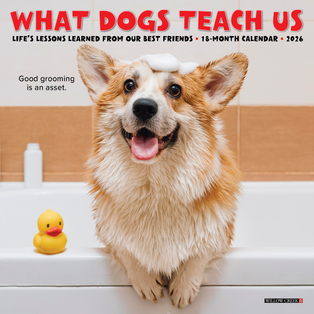 2026 Willow Creek Press Monthly Mini Wall Calendar, 7in x 7in, What Dogs Teach Us, January To December, 53836 MPN:53836