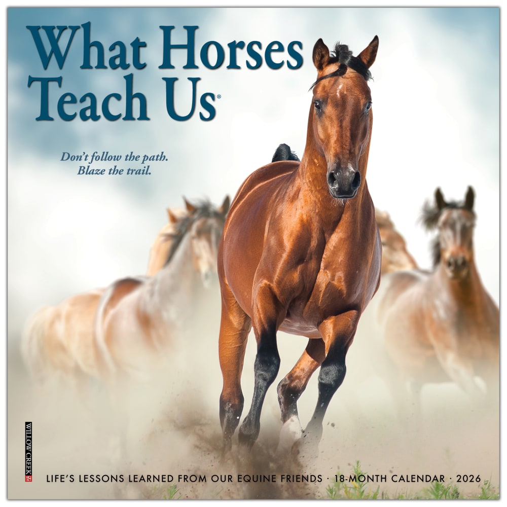 2026 Willow Creek Press Monthly Mini Wall Calendar, 7in x 7in, What Horses Teach Us, January To December, 53843 MPN:53843