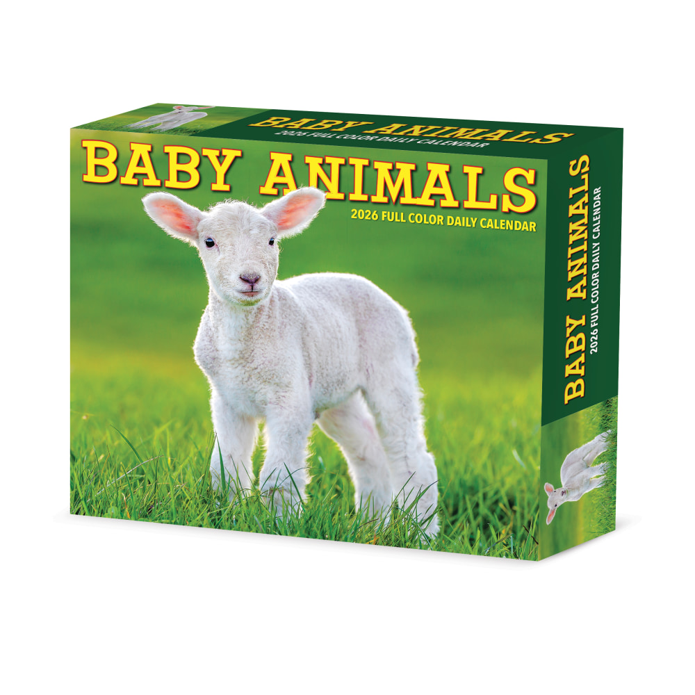 2026 Willow Creek Press Page-A-Day Daily Desk Calendar, 6-1/4in x 5-1/2in, Baby Animals, January To December, 53928 MPN:53928