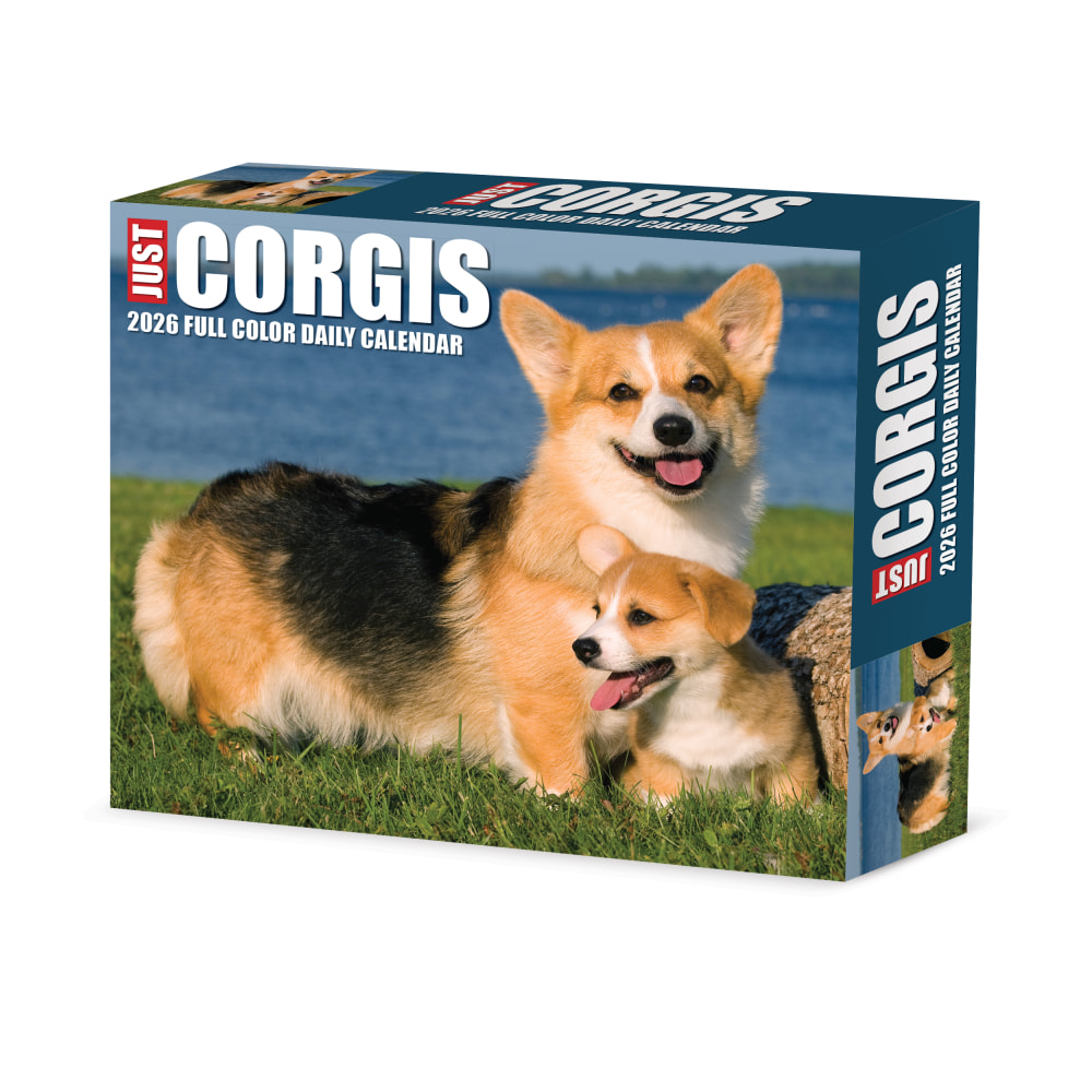 2026 Willow Creek Press Page-A-Day Daily Desk Calendar, 6-1/4in x 5-1/2in, Corgis, January To December, 54079 MPN:54079