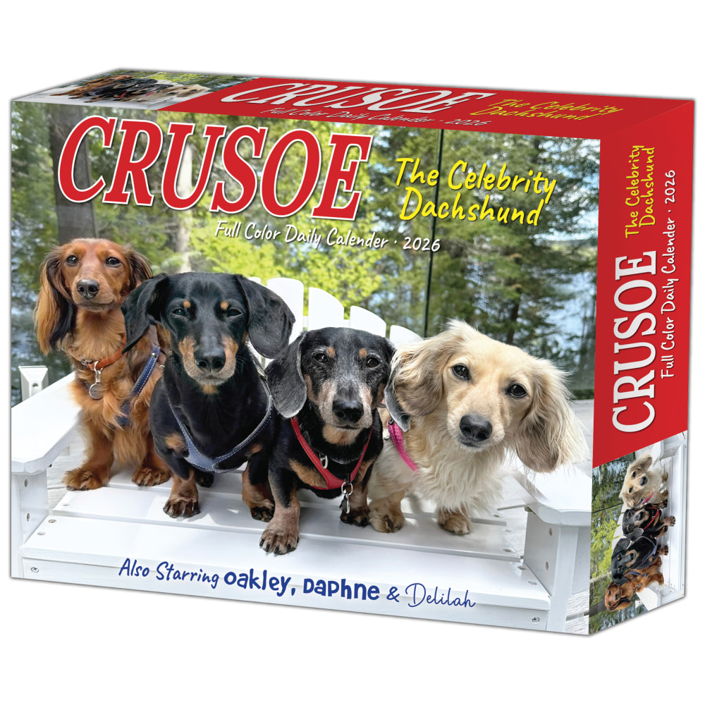 2026 Willow Creek Press Page-A-Day Daily Desk Calendar, 6-1/4in x 5-1/2in, Crusoe the Celebrity Dachshund, January To December, 54086 MPN:54086