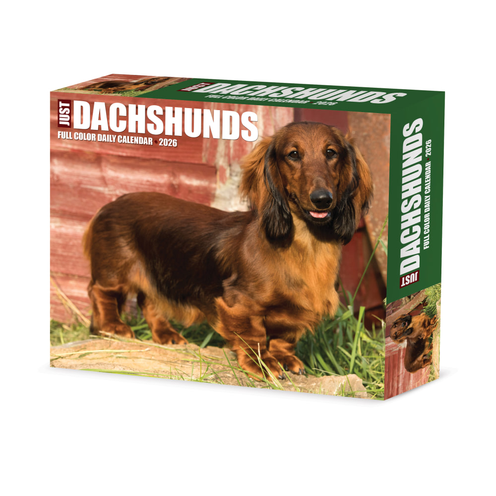 2026 Willow Creek Press Page-A-Day Daily Desk Calendar, 6-1/4in x 5-1/2in, Dachshunds, January To December, 54093 MPN:54093