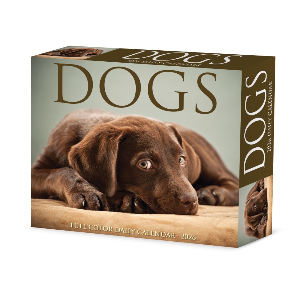2026 Willow Creek Press Page-A-Day Daily Desk Calendar, 6-1/4in x 5-1/2in, Dogs, January To December, 54147 MPN:54147