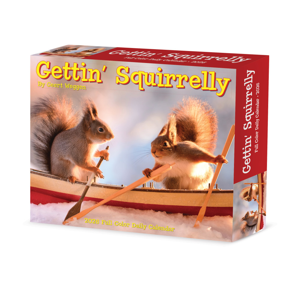 2026 Willow Creek Press Page-A-Day Daily Desk Calendar, 6-1/4in x 5-1/2in, Gettin Squirrelly, January To December, 54185 MPN:54185
