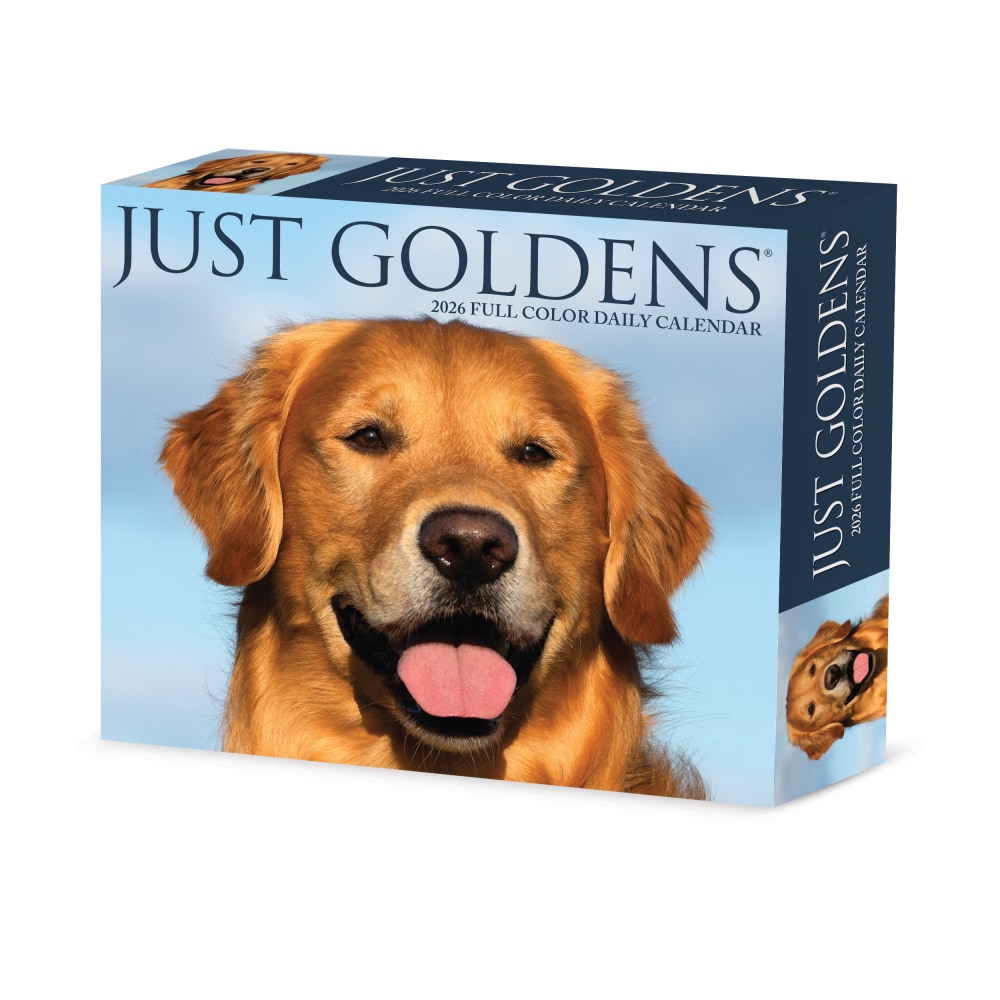 2026 Willow Creek Press Page-A-Day Daily Desk Calendar, 6-1/4in x 5-1/2in, Goldens, January To December, 54192 MPN:54192
