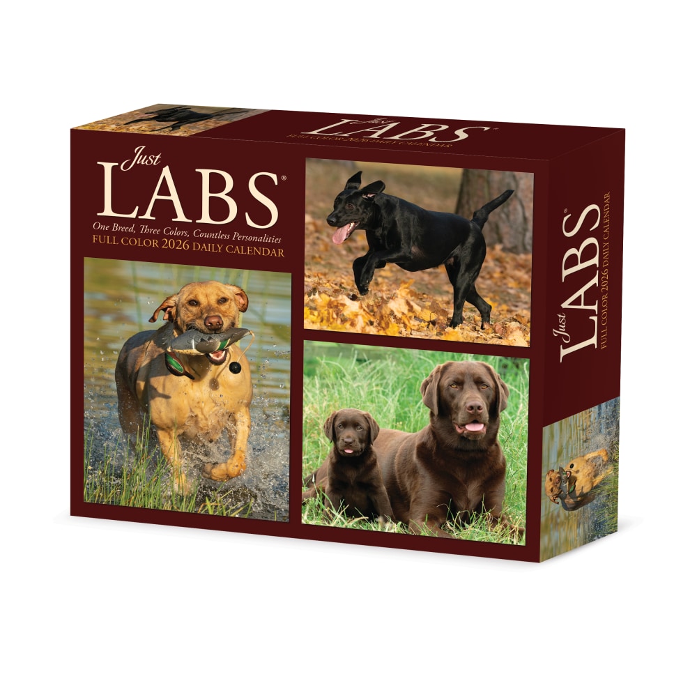 2026 Willow Creek Press Page-A-Day Daily Desk Calendar, 6-1/4in x 5-1/2in, Just Labs, January To December, 54277 MPN:54277