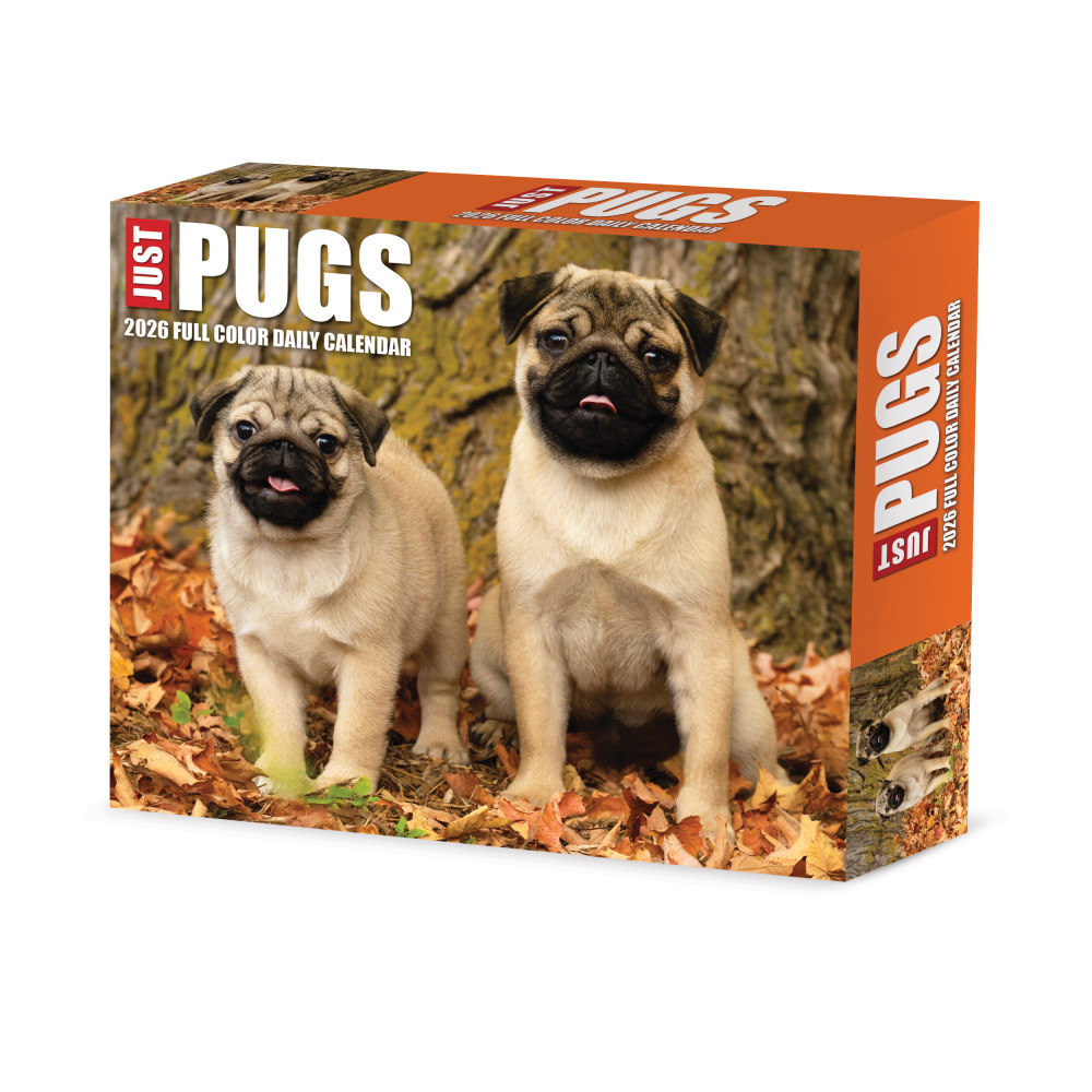 2026 Willow Creek Press Page-A-Day Daily Desk Calendar, 6-1/4in x 5-1/2in, Just Pugs, January To December, 54376 MPN:54376
