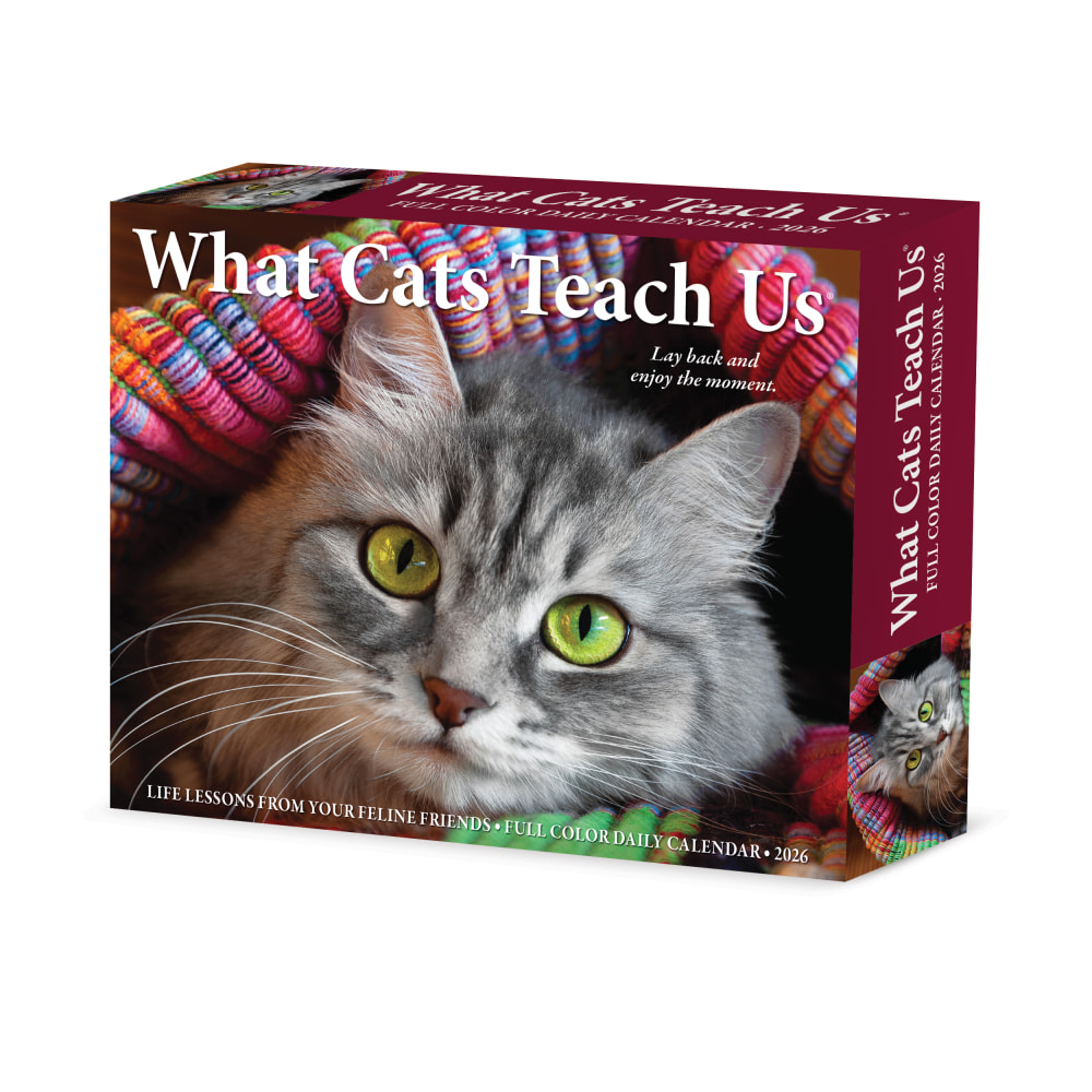 2026 Willow Creek Press Page-A-Day Daily Desk Calendar, 6-1/4in x 5-1/2in, What Cats Teach Us, January To December, 54505 MPN:54505