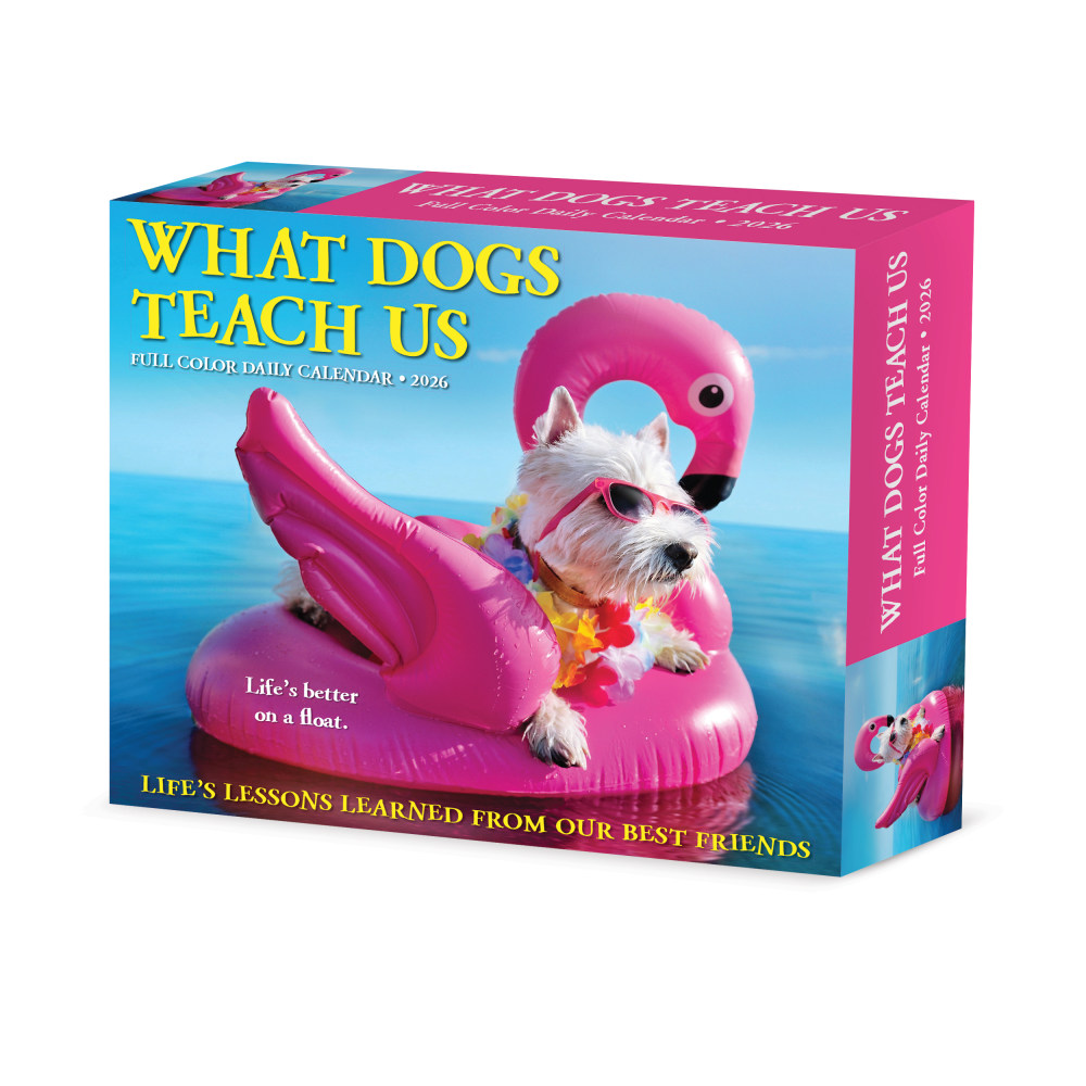 2026 Willow Creek Press Page-A-Day Daily Desk Calendar, 6-1/4in x 5-1/2in, What Dogs Teach Us, January To December, 54512 MPN:54512