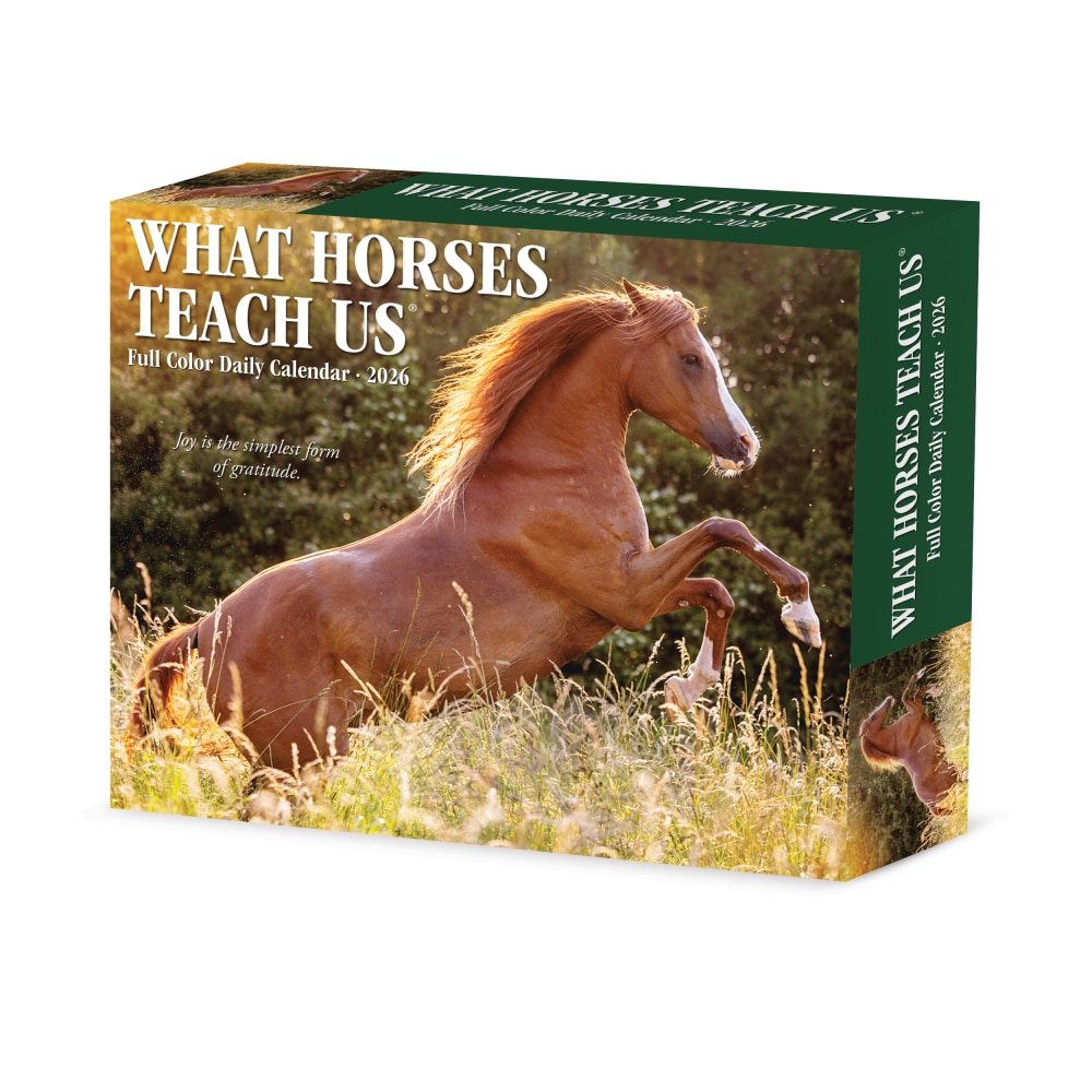 2026 Willow Creek Press Page-A-Day Daily Desk Calendar, 6-1/4in x 5-1/2in, What Horses Teach Us, January To December, 54529 MPN:54529