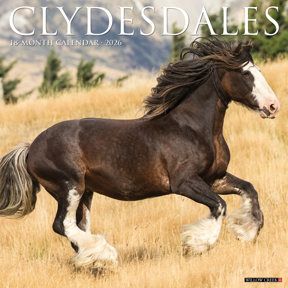 2026 Willow Creek Press Animals Monthly Wall Calendar, 12in x 12in, Clydesdales, January To December, 55373 MPN:55373