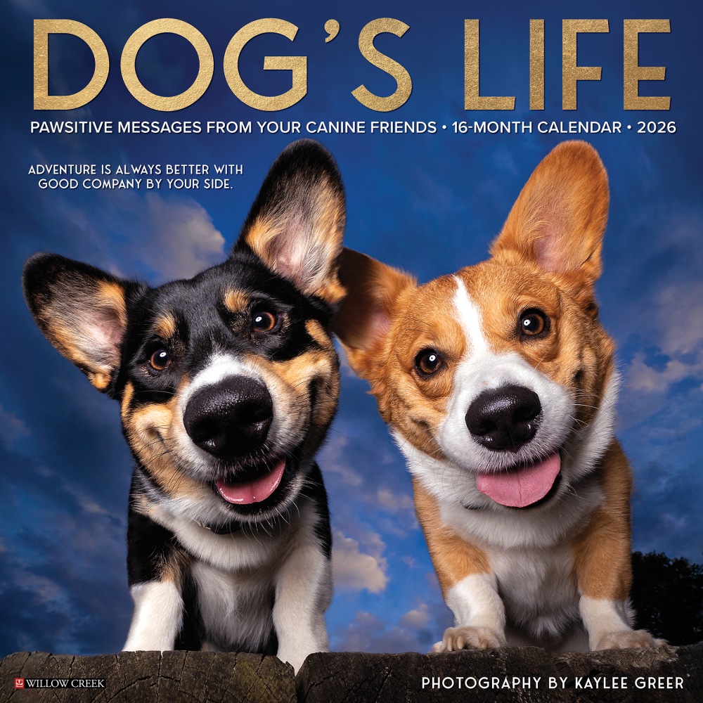 2026 Willow Creek Press Animals Monthly Wall Calendar, 12in x 12in, Dogs Life, January To December, 51009 MPN:9781549251009