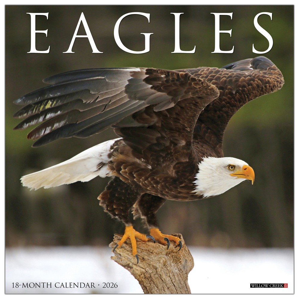 2026 Willow Creek Press Animals Monthly Wall Calendar, 12in x 12in, Eagles, January To December, 51030 MPN:9781549251030