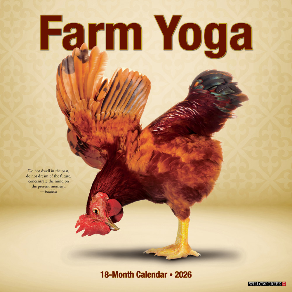 2026 Willow Creek Press Animals Monthly Wall Calendar, 12in x 12in, Farm Yoga, January To December, 51092 MPN:9781549251092