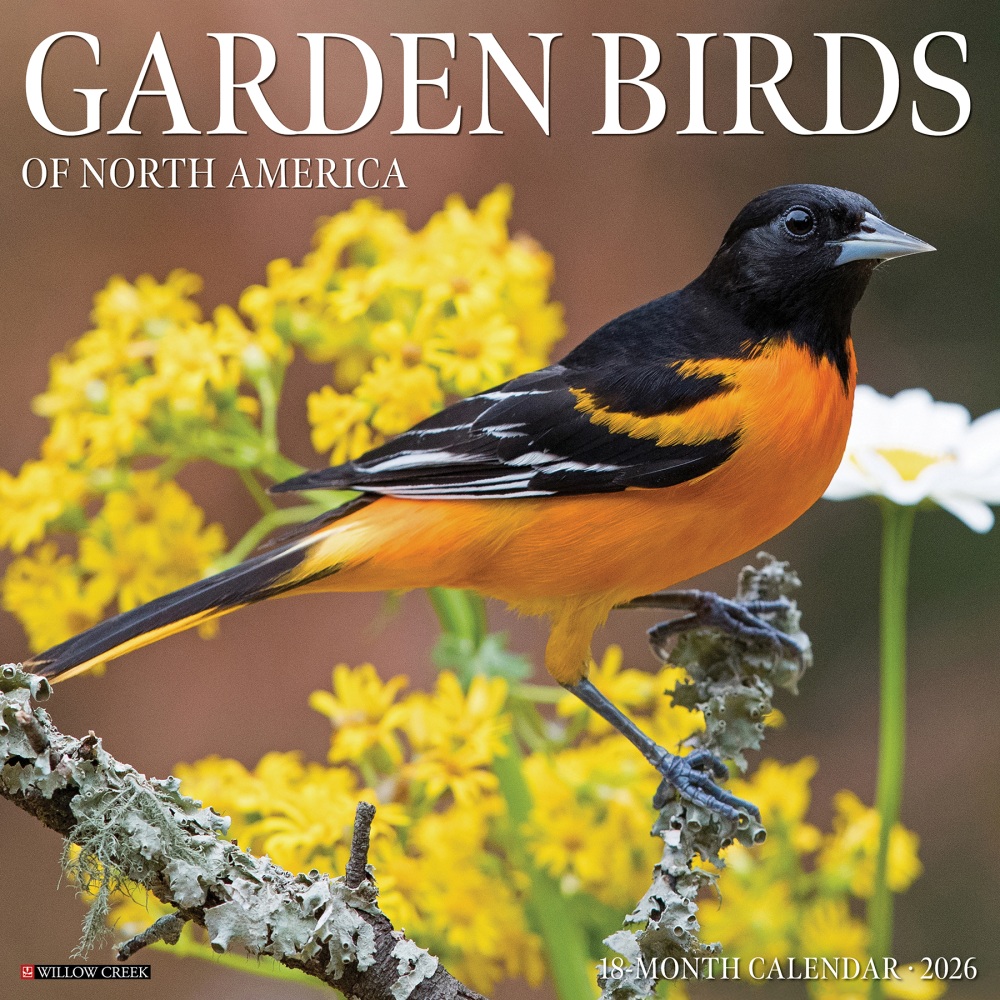 2026 Willow Creek Press Animals Monthly Wall Calendar, 12in x 12in, Garden Birds, January To December, 51184 MPN:9781549251184