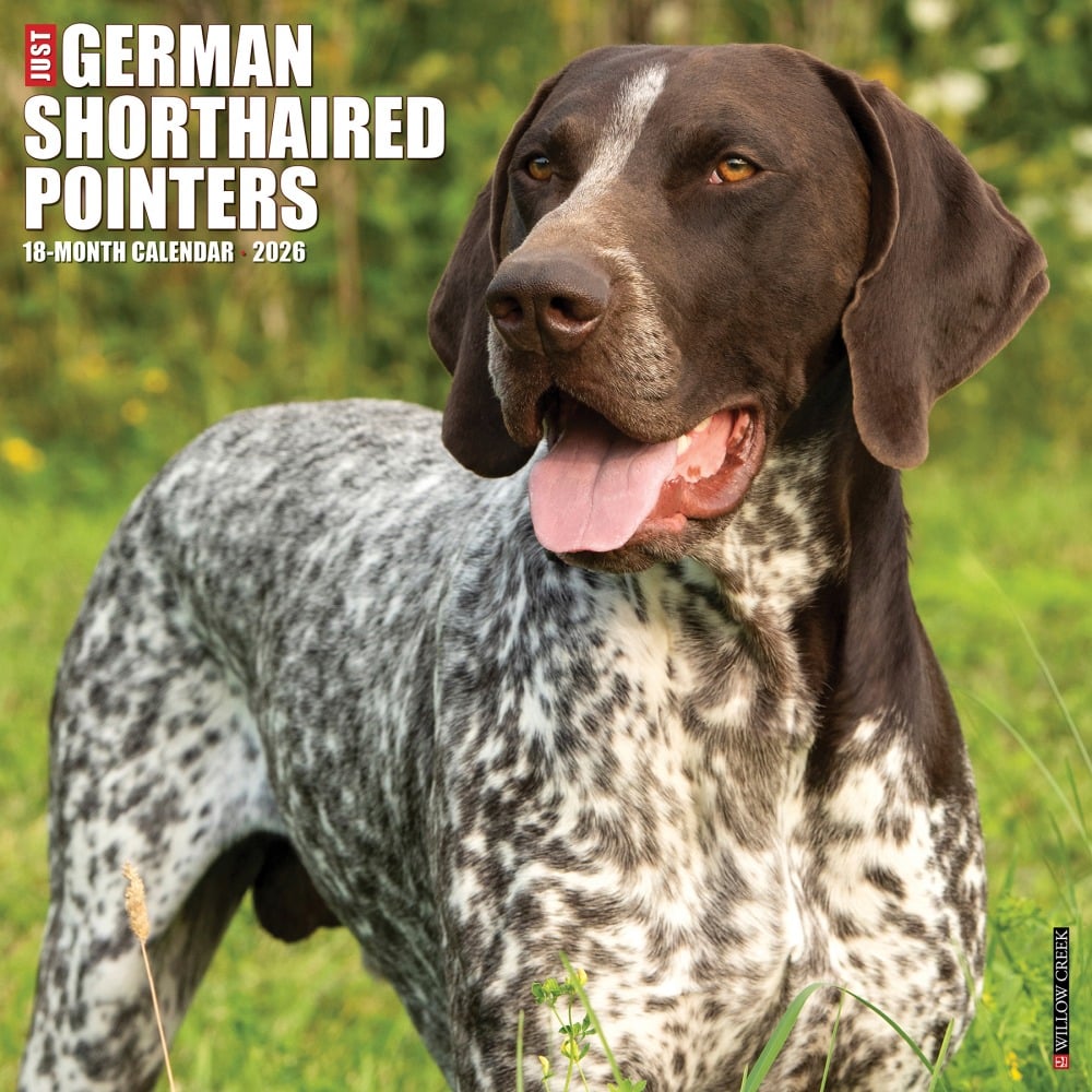 2026 Willow Creek Press Animals Monthly Wall Calendar, 12in x 12in, German Shorthaired Pointers, January To December, 51245 MPN:9781549251245