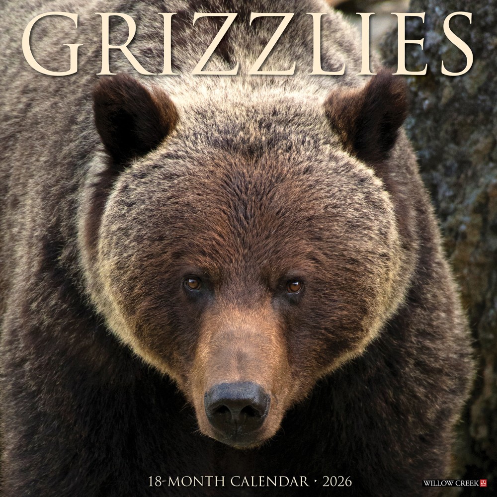 2026 Willow Creek Press Animals Monthly Wall Calendar, 12in x 12in, Grizzlies, January To December, 51399 MPN:9781549251399