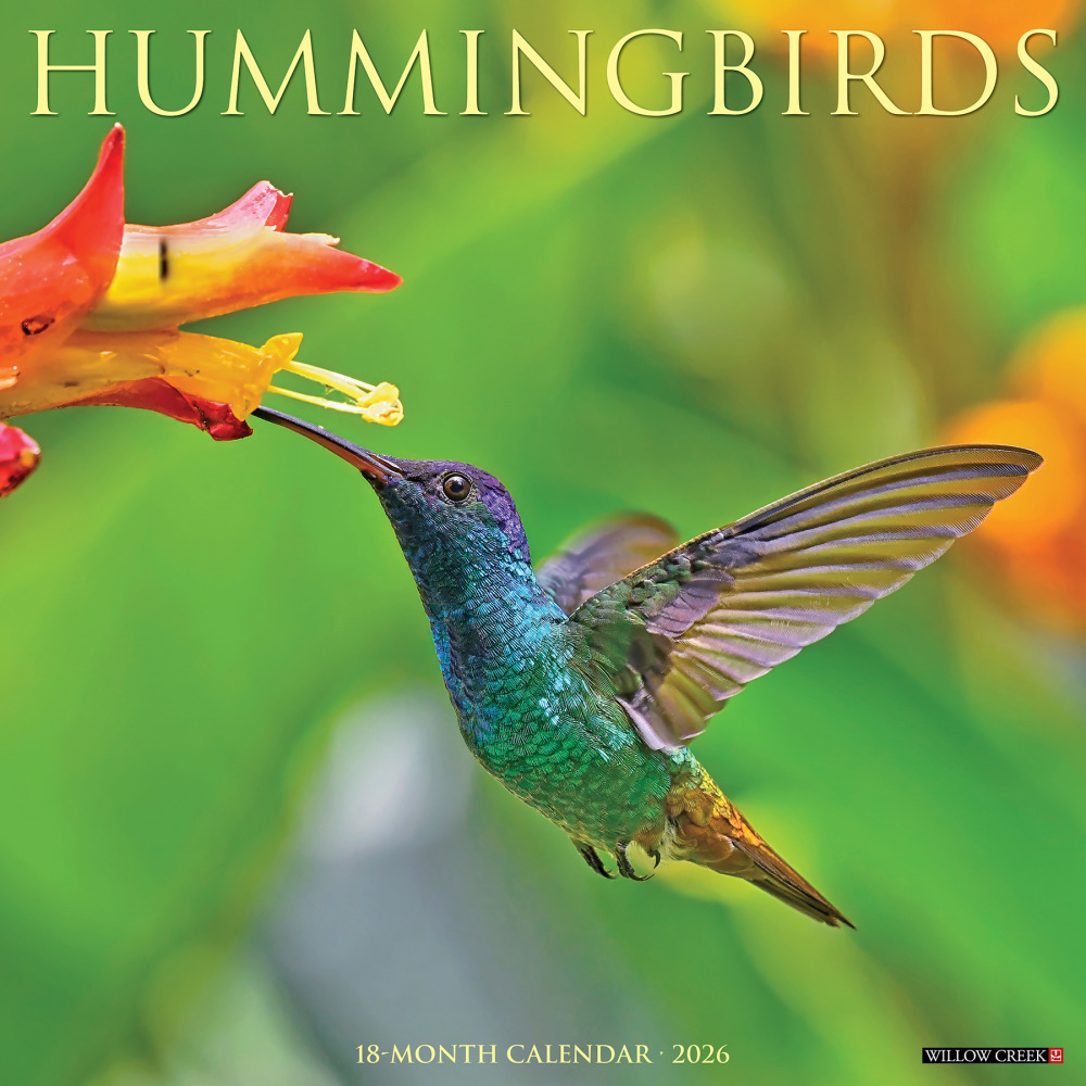2026 Willow Creek Press Animals Monthly Wall Calendar, 12in x 12in, Hummingbirds, January To December, 51528 MPN:9781549251528