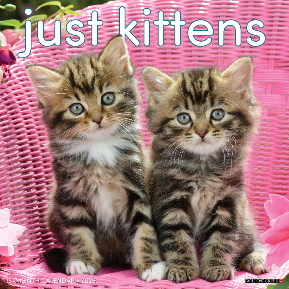 2026 Willow Creek Press Animals Monthly Wall Calendar, 12in x 12in, Kittens, January To December, 51696 MPN:9781549251696