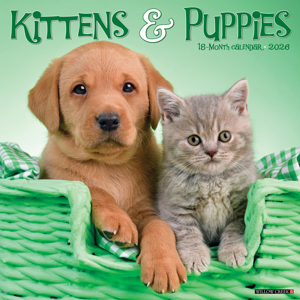 2026 Willow Creek Press Animals Monthly Wall Calendar, 12in x 12in, Kittens & Puppies, January To December, 51702 MPN:9781549251702