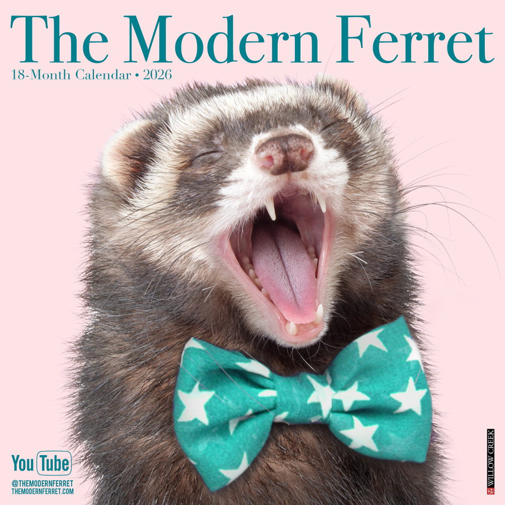 2026 Willow Creek Press Animals Monthly Wall Calendar, 12in x 12in, Modern Ferret (The), January To December, 51962 MPN:9781549251962