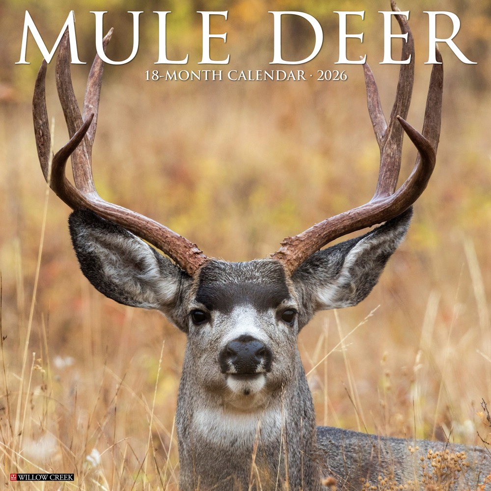 2026 Willow Creek Press Animals Monthly Wall Calendar, 12in x 12in, Mule Deer, January To December, 52051 MPN:9781549252051