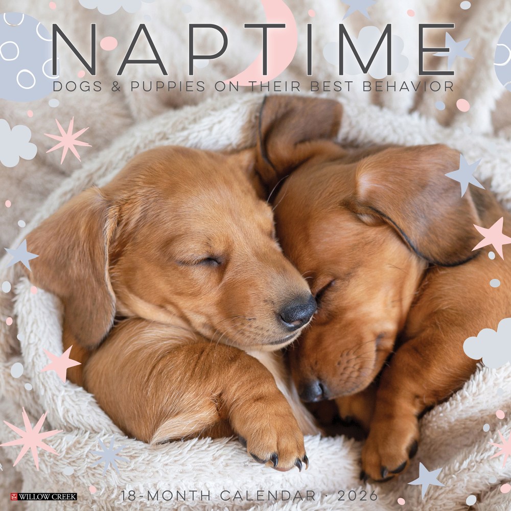 2026 Willow Creek Press Animals Monthly Wall Calendar, 12in x 12in, Naptime: Dogs & Puppies on their Best Behavior, January To December, 52099 MPN:9781549252099