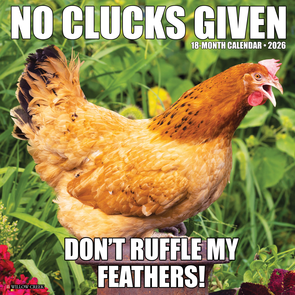 2026 Willow Creek Press Animals Monthly Wall Calendar, 12in x 12in, No Clucks Given, January To December, 52181 MPN:9781549252181