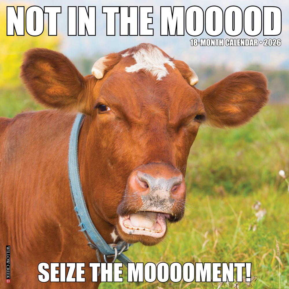 2026 Willow Creek Press Humor & Comics Monthly Wall Calendar, 12in x 12in, Not in the Mooood, January To December, 52211 MPN:9781549252211
