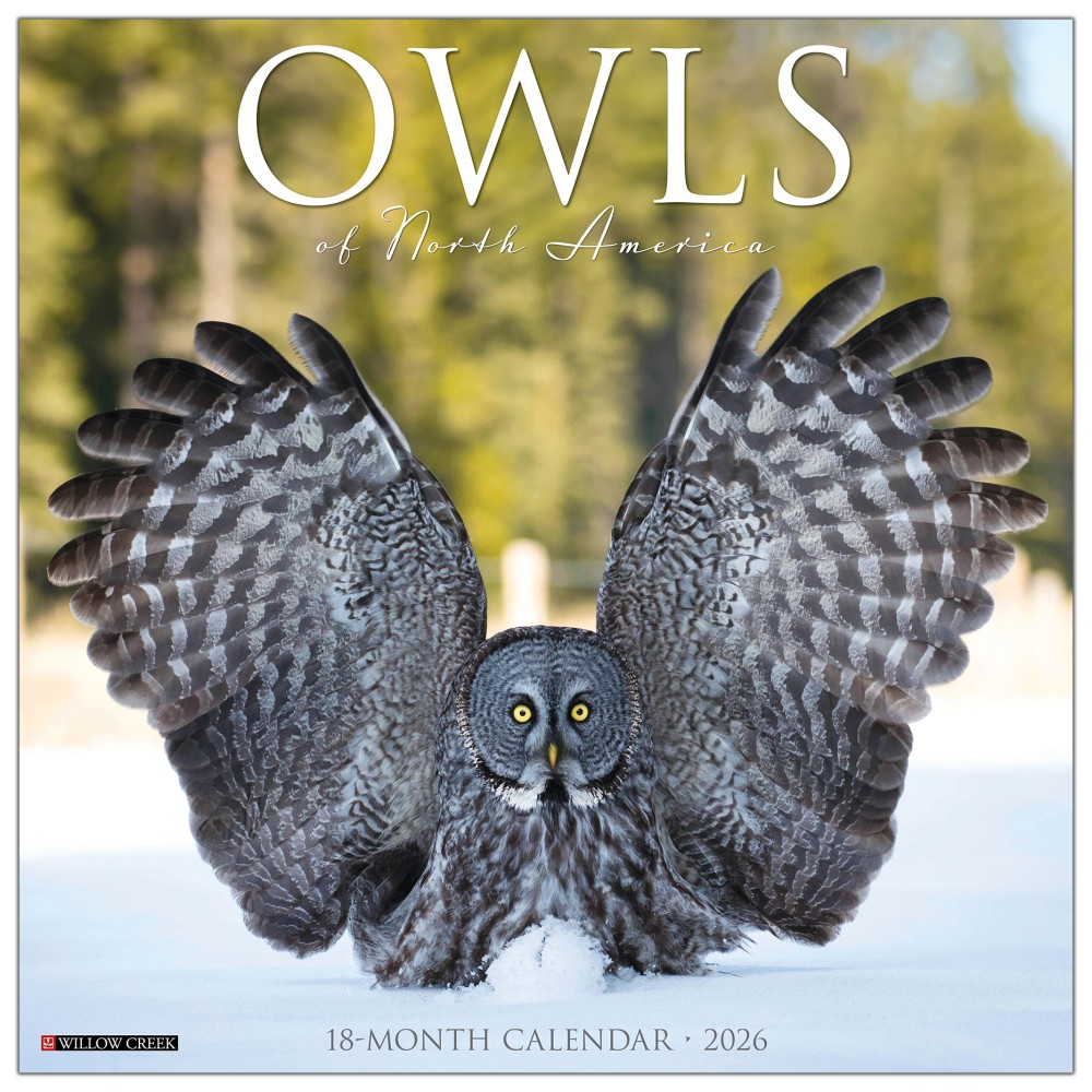 2026 Willow Creek Press Animals Monthly Wall Calendar, 12in x 12in, Owls, January To December, 52266 MPN:9781549252266