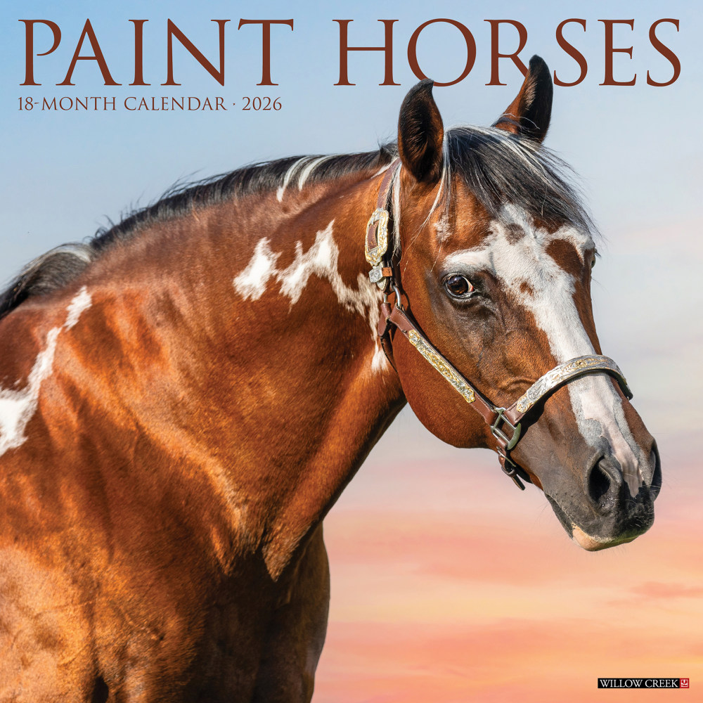 2026 Willow Creek Press Animals Monthly Wall Calendar, 12in x 12in, Paint Horses, January To December, 52297 MPN:9781549252297