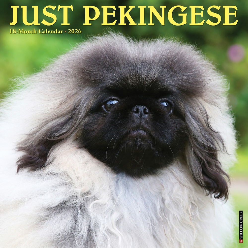 2026 Willow Creek Press Animals Monthly Wall Calendar, 12in x 12in, Pekingese, January To December, 52358 MPN:9781549252358