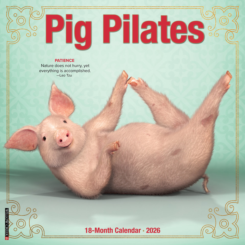 2026 Willow Creek Press Animals Monthly Wall Calendar, 12in x 12in, Pig Pilates, January To December, 52389 MPN:9781549252389