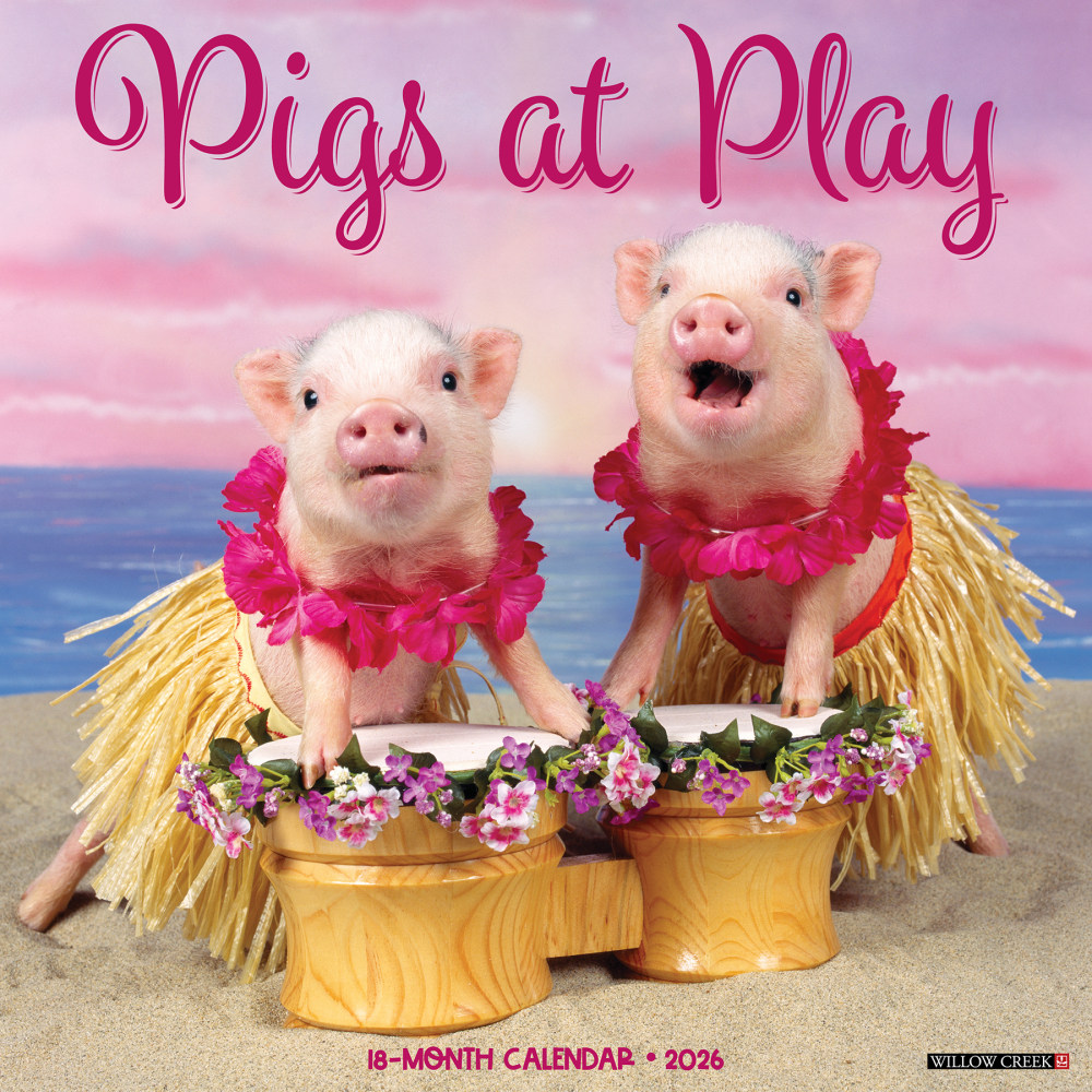 2026 Willow Creek Press Animals Monthly Wall Calendar, 12in x 12in, Pigs at Play, January To December, 52396 MPN:9781549252396
