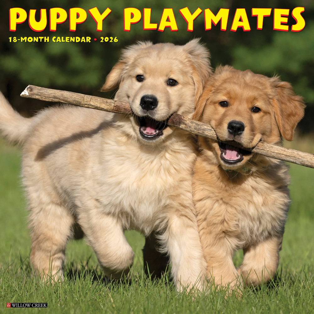 2026 Willow Creek Press Animals Monthly Wall Calendar, 12in x 12in, Puppy Playmates, January To December, 52525 MPN:9781549252525