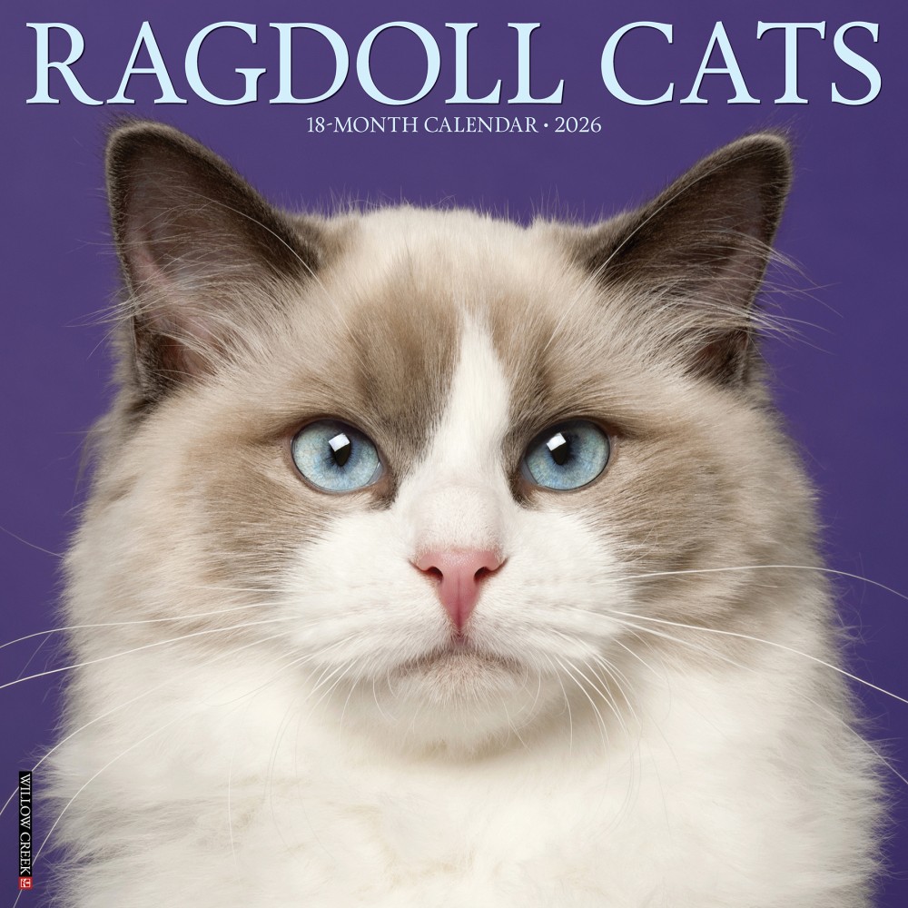 2026 Willow Creek Press Animals Monthly Wall Calendar, 12in x 12in, Ragdoll Cats, January To December, 52549 MPN:9781549252549