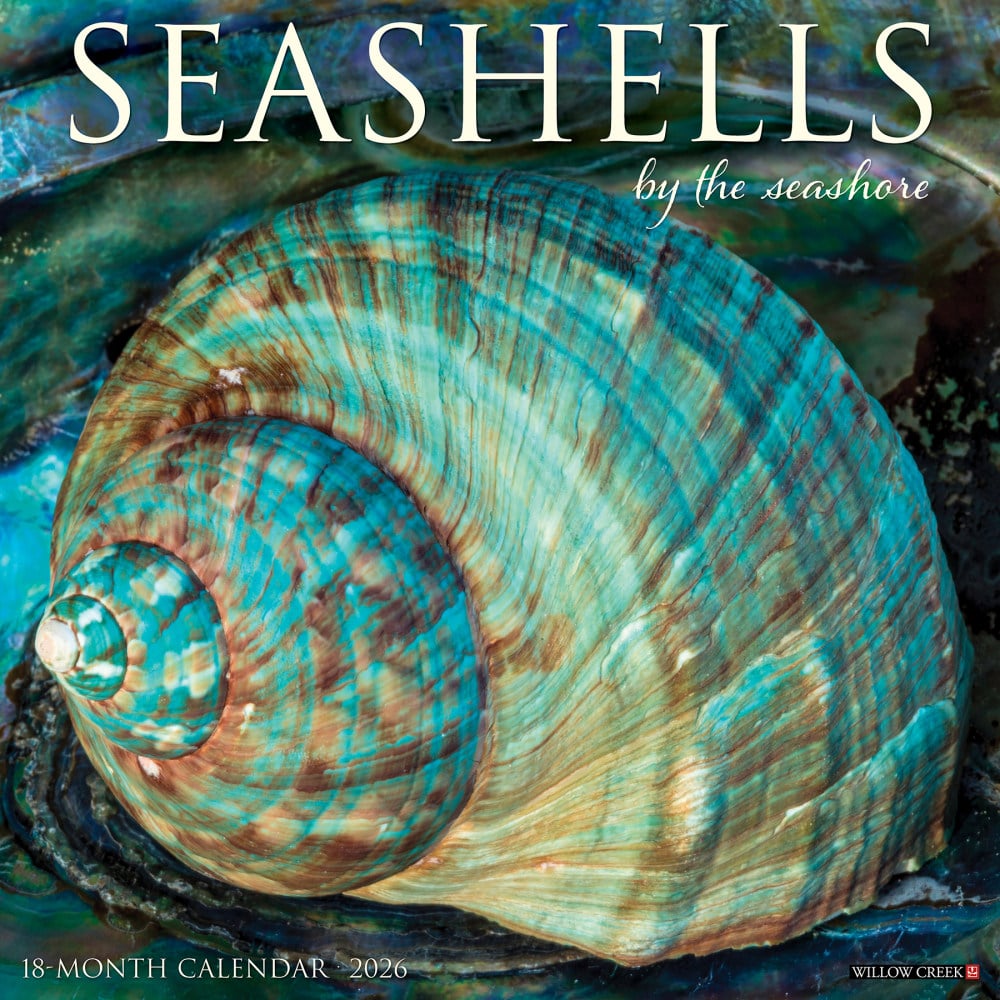 2026 Willow Creek Press Art & Design Monthly Wall Calendar, 12in x 12in, Seashells, January To December, 52709 MPN:9781549252709